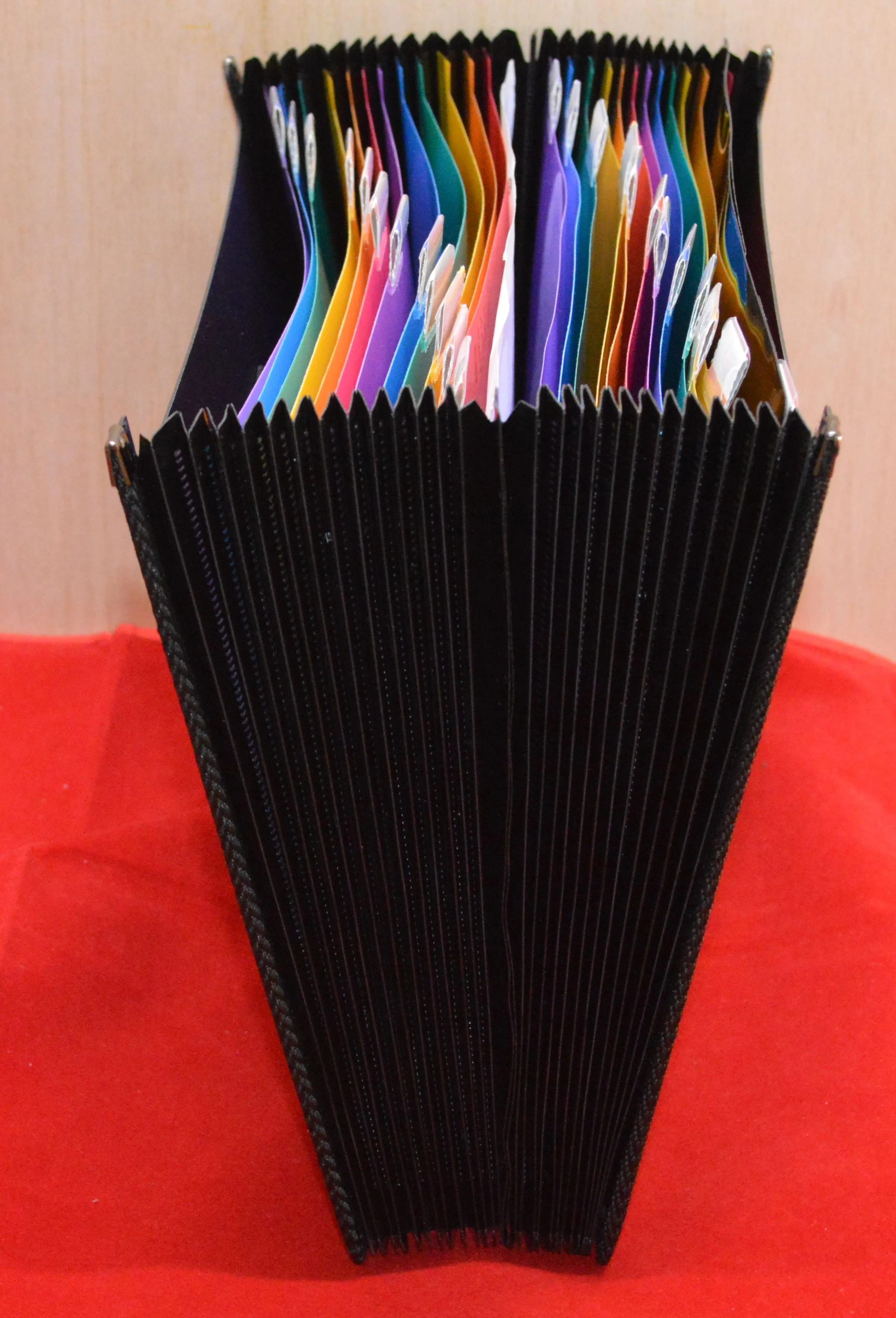 2-Pack Expanding File Organizer – 24 Pocket A4 Document Wallet by Redvers Office