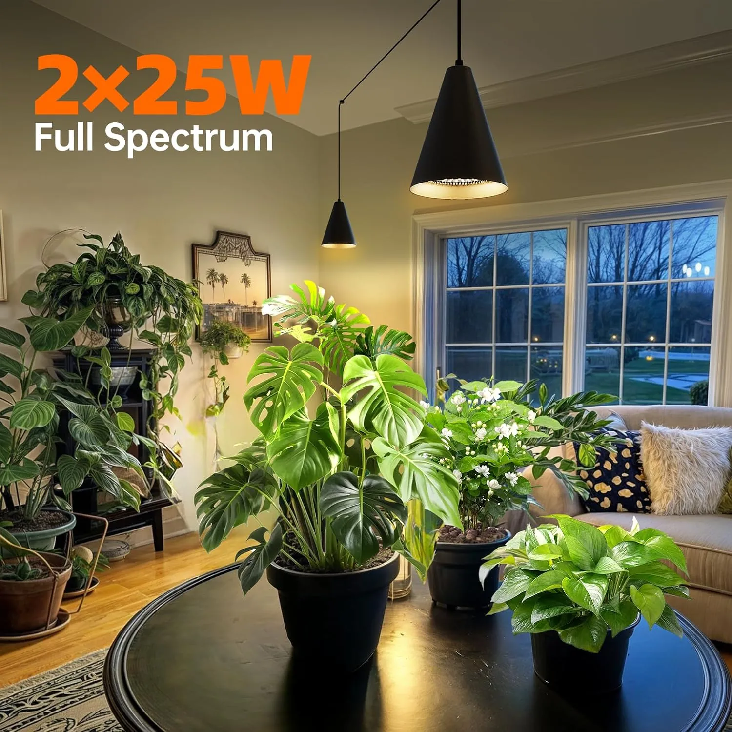 50W Double-Head Hanging Grow Lights for Indoor Plants, 3000K, Black LED Plant Light Bulbs with Timer and 16.4FT Power Cord, Perfect for Tall Plants, Gardens, Flowers, and Greenhouses