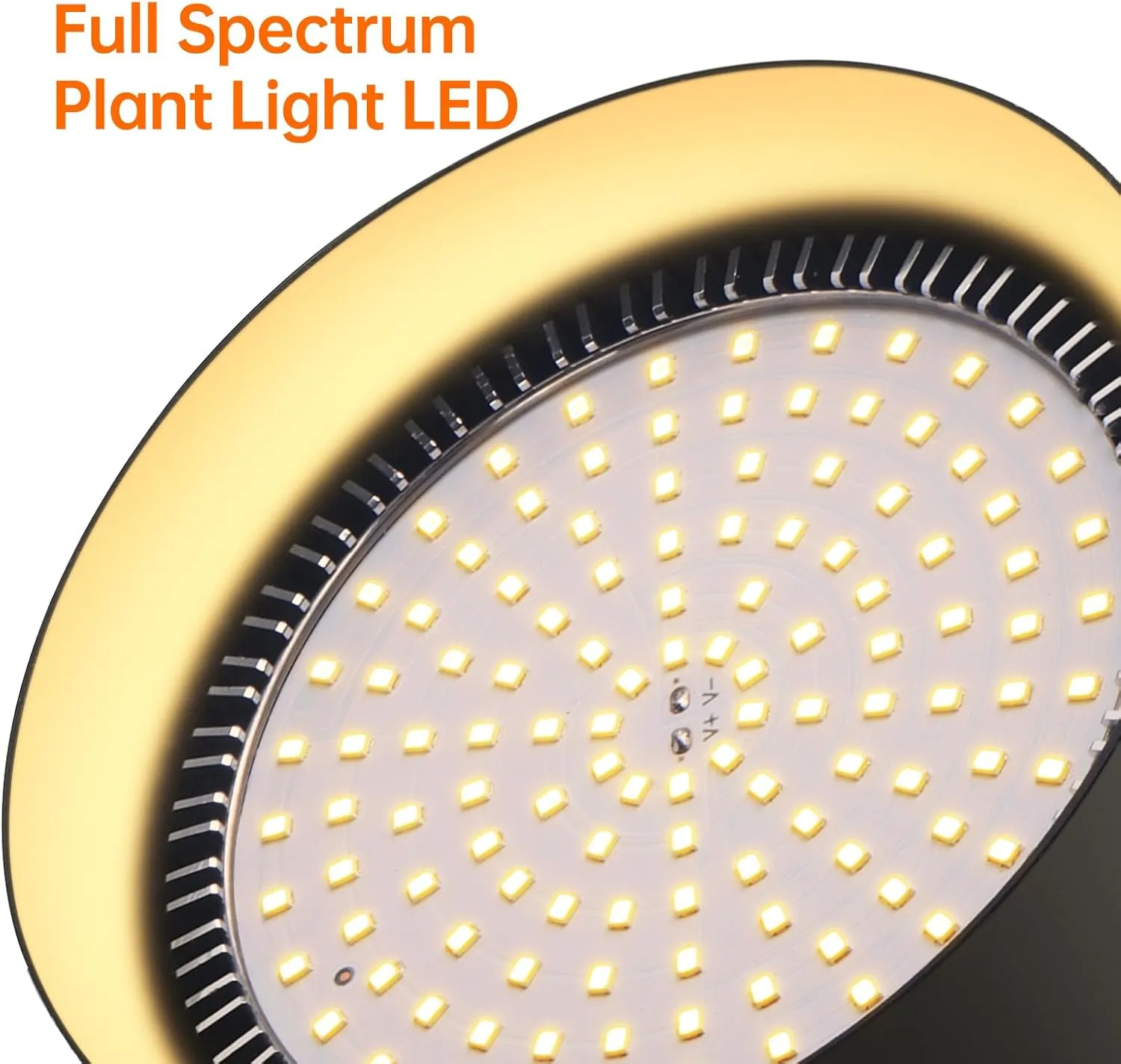 50W Double-Head Hanging Grow Lights for Indoor Plants, 3000K, Black LED Plant Light Bulbs with Timer and 16.4FT Power Cord, Perfect for Tall Plants, Gardens, Flowers, and Greenhouses