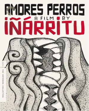 Amores Perros (The Criterion Collection) [Blu-ray]