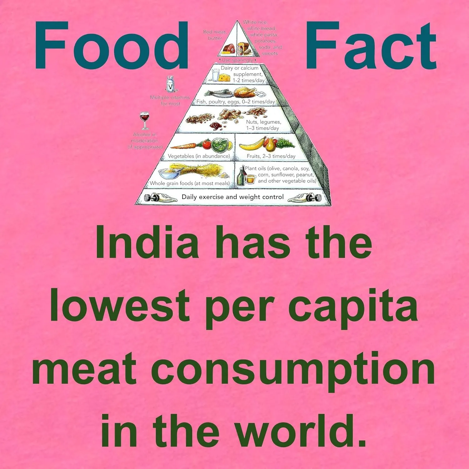 CafePress India Has The Lowest Per Capita Food Fact Body Suit Cute Infant Bodysuit Baby Romper Dark