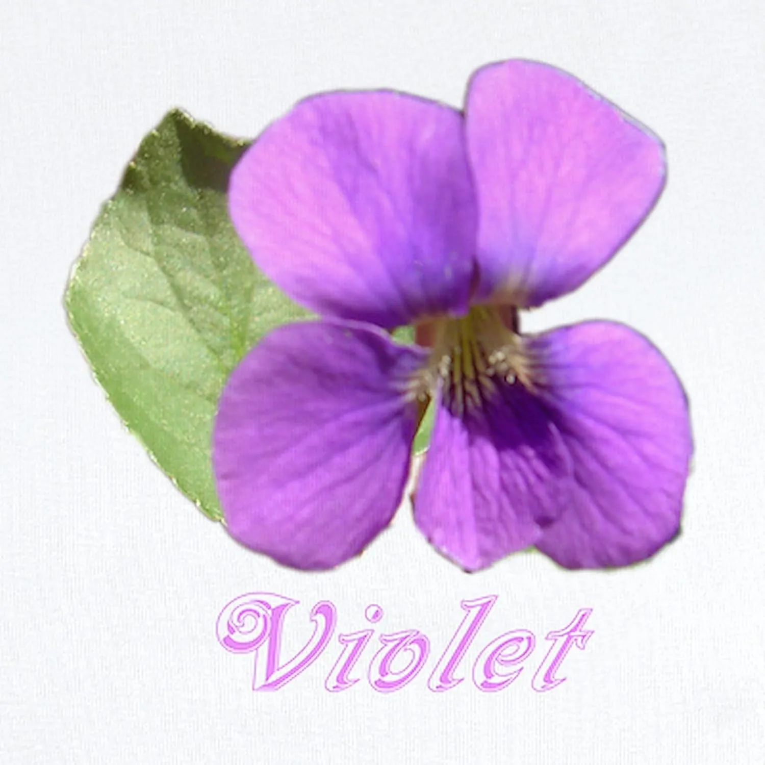 CafePress Violet Infant Bodysuit Cute Infant Bodysuit Baby Romper