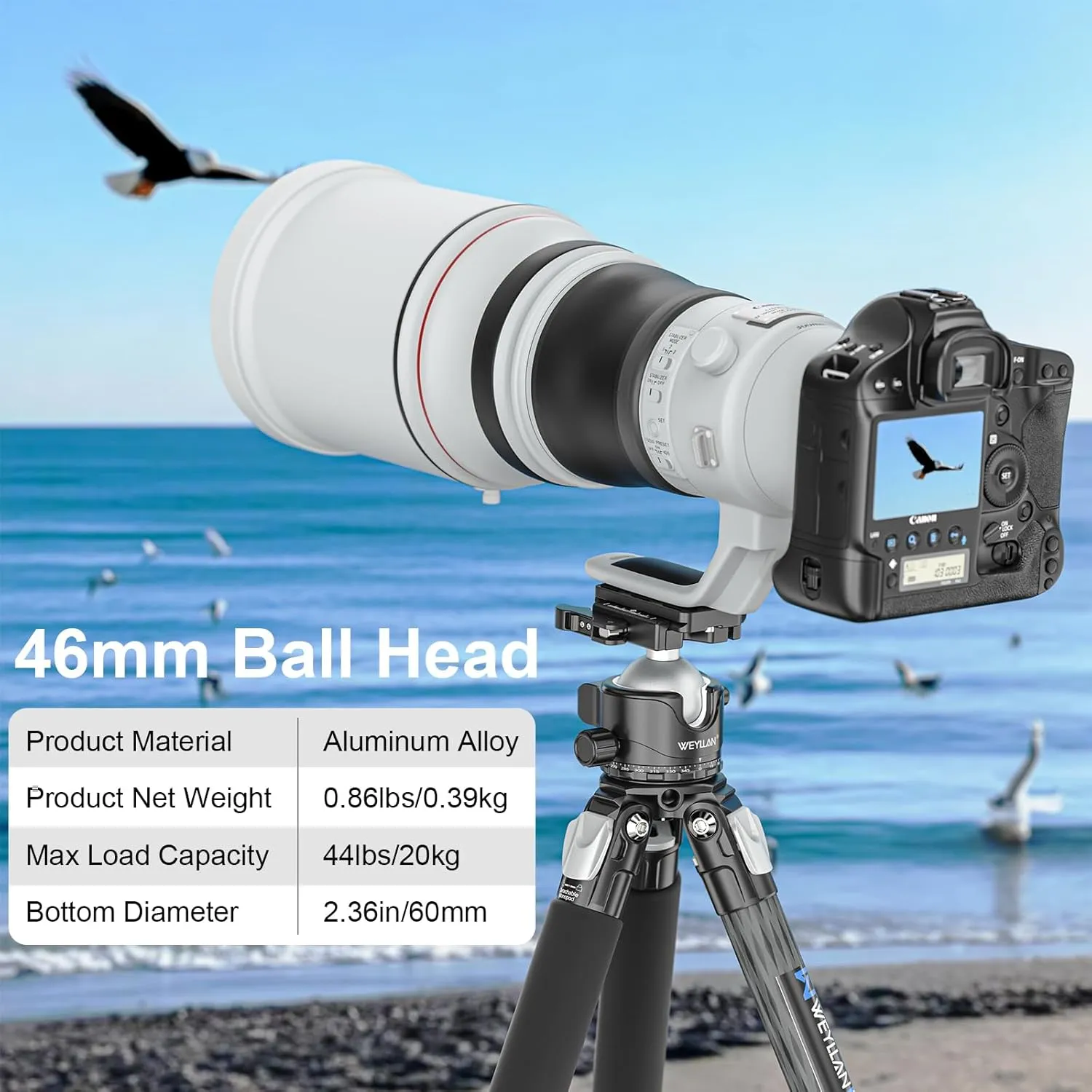 EH46L Tripod Ball Head with Lever Release, 46mm Low Profile Heavy Duty Ball Head Mount with Arca Swiss Quick Release Plate for Camera Tripod Monopod DSLR Camcorder Telescope,Max Load 44lb/20kg