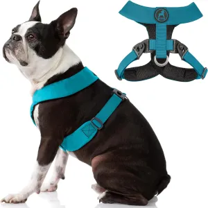 Gooby Comfort X Harness Dual Snap - Turquoise, Medium - No Pull Small Dog Harness with Rotational Buckles and Patented Choke-Free X Frame - Dog Harness for Medium Dogs No Pull and Small Dogs