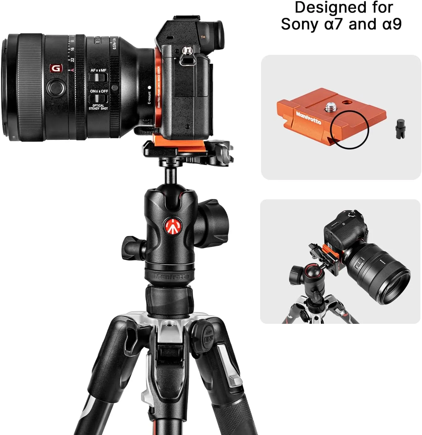 Manfrotto Befree Advanced Special Edition 4-Section Aluminum Travel Tripod with 494 Center Ball Head for Sony Alpha Cameras