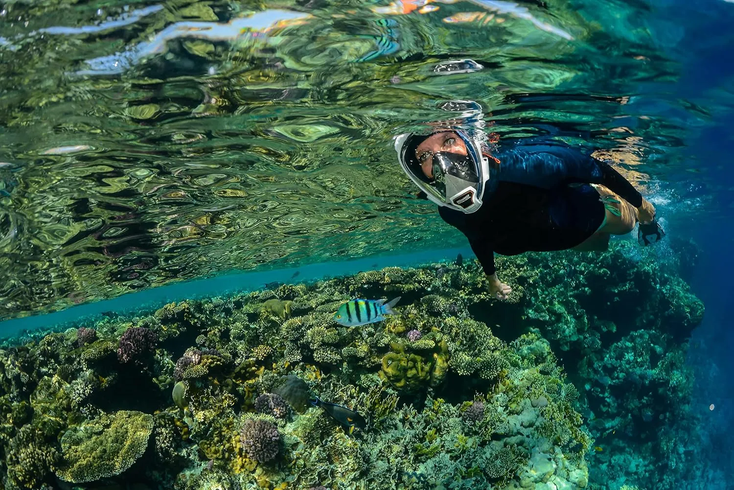 OCEAN REEF - Aria QR   Quick Release Snorkeling Mask - Full Face Snorkeling Mask - 180 Degree Underwater Vision - 8 Colours and 4 Sizes