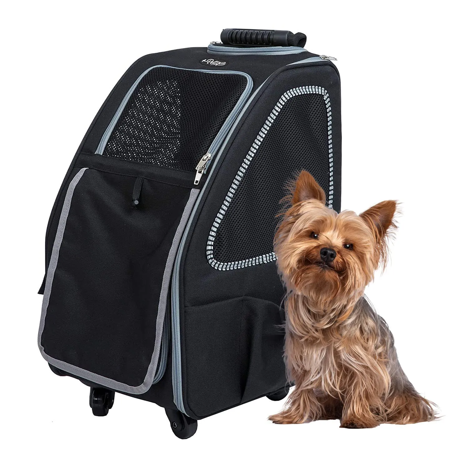 Petique Pet Carrier, Dog Carrier for Small Size Pets, 5-in-1 Ventilated Carrier Bag for Cats & Dogs