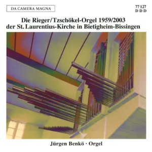 Rieger Tzschokel-Organ