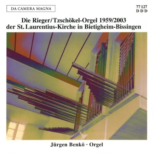 Rieger Tzschokel-Organ