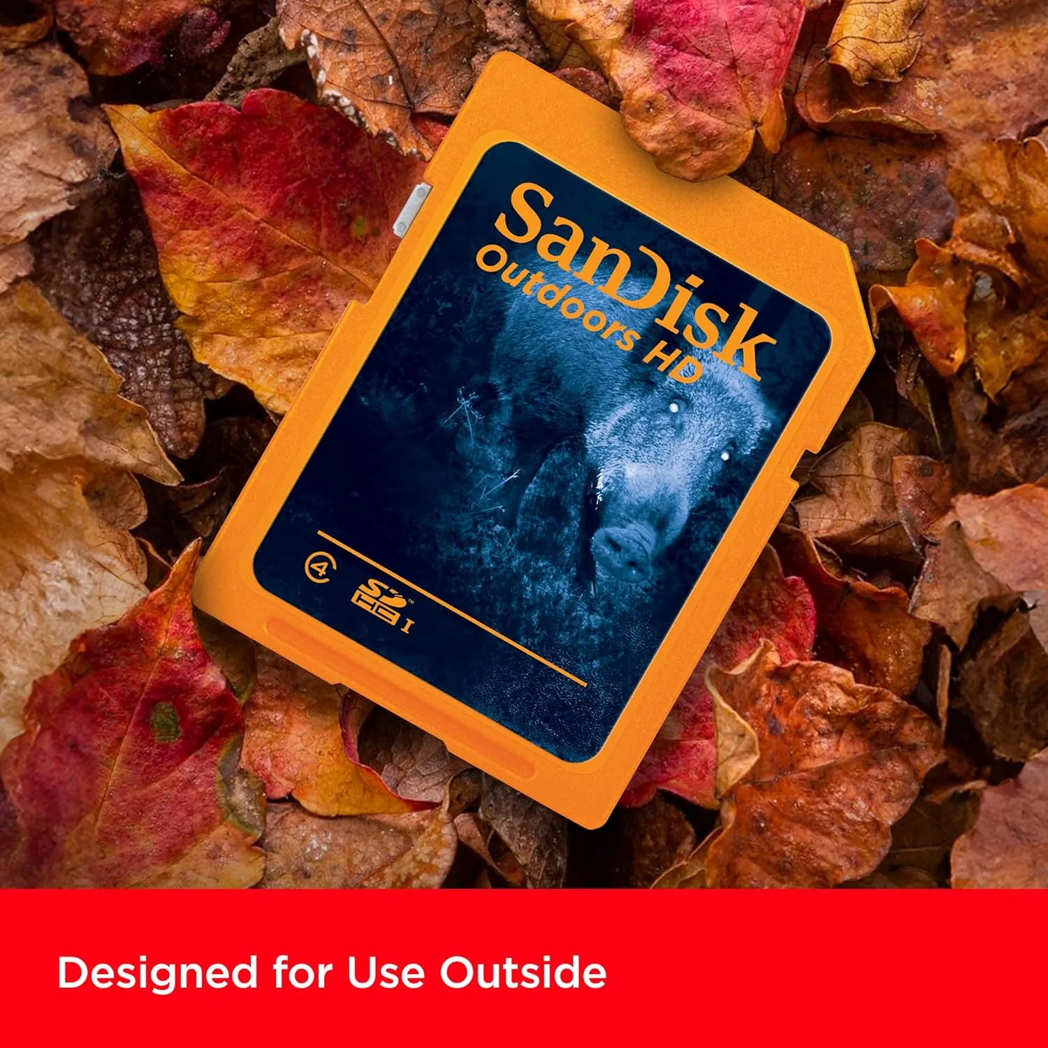 SanDisk 32GB 2-Pack Outdoors HD SDHC UHS-I Memory Card (2x32GB) - Up to 100MB/s, C4, Trail Camera SD Card - SDSDBNN-032G-GN6V2