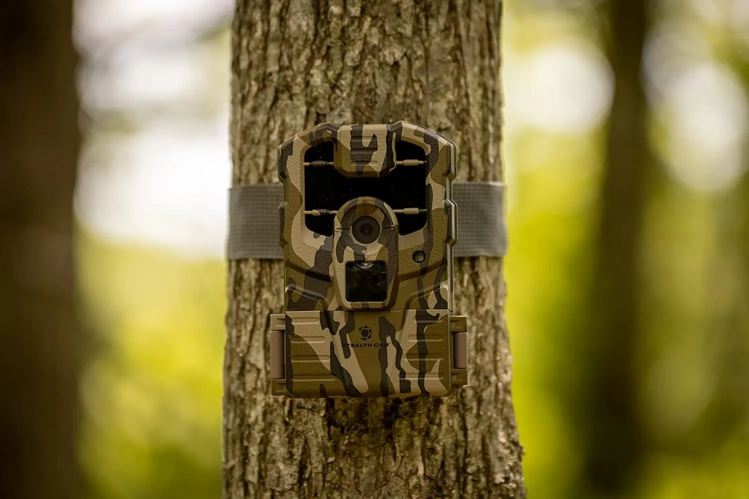 Stealth Cam Prowler Trail Camera- 16MP - 2 Pack