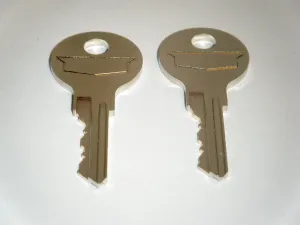 Steelcase File Cabinet Keys from FR300 to FR350 Chicago Office Furniture Desk Keys. 2 - Keys Just Match Your Number Steel Case (FR309)