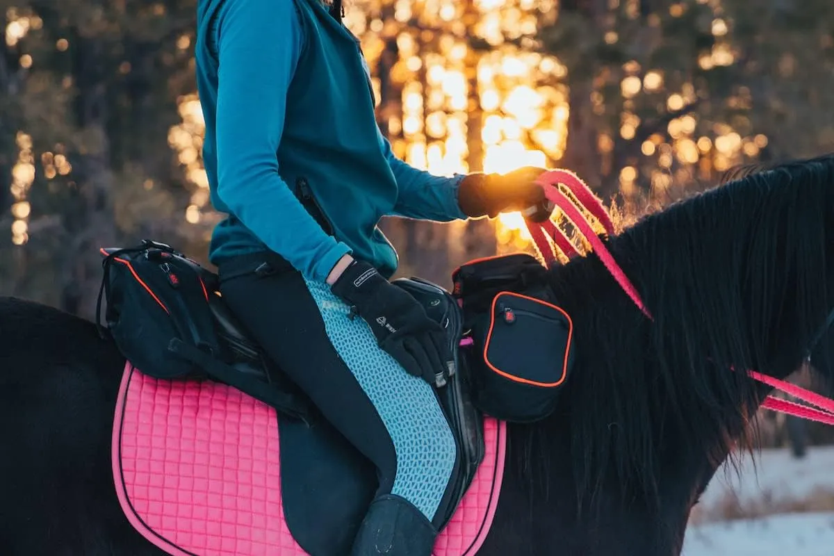 TrailMax English/Endurance Horse Saddle Bag for Trail-Riding, Featuring 3 Compartments & Quick Release Compression Straps