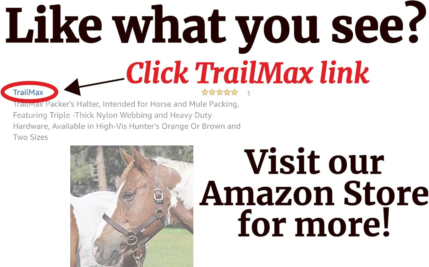 TrailMax English/Endurance Horse Saddle Bag for Trail-Riding, Featuring 3 Compartments & Quick Release Compression Straps