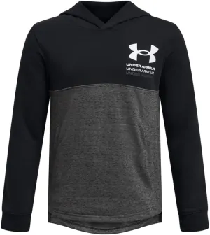Under Armour Boys' Rival Terry Hoodie