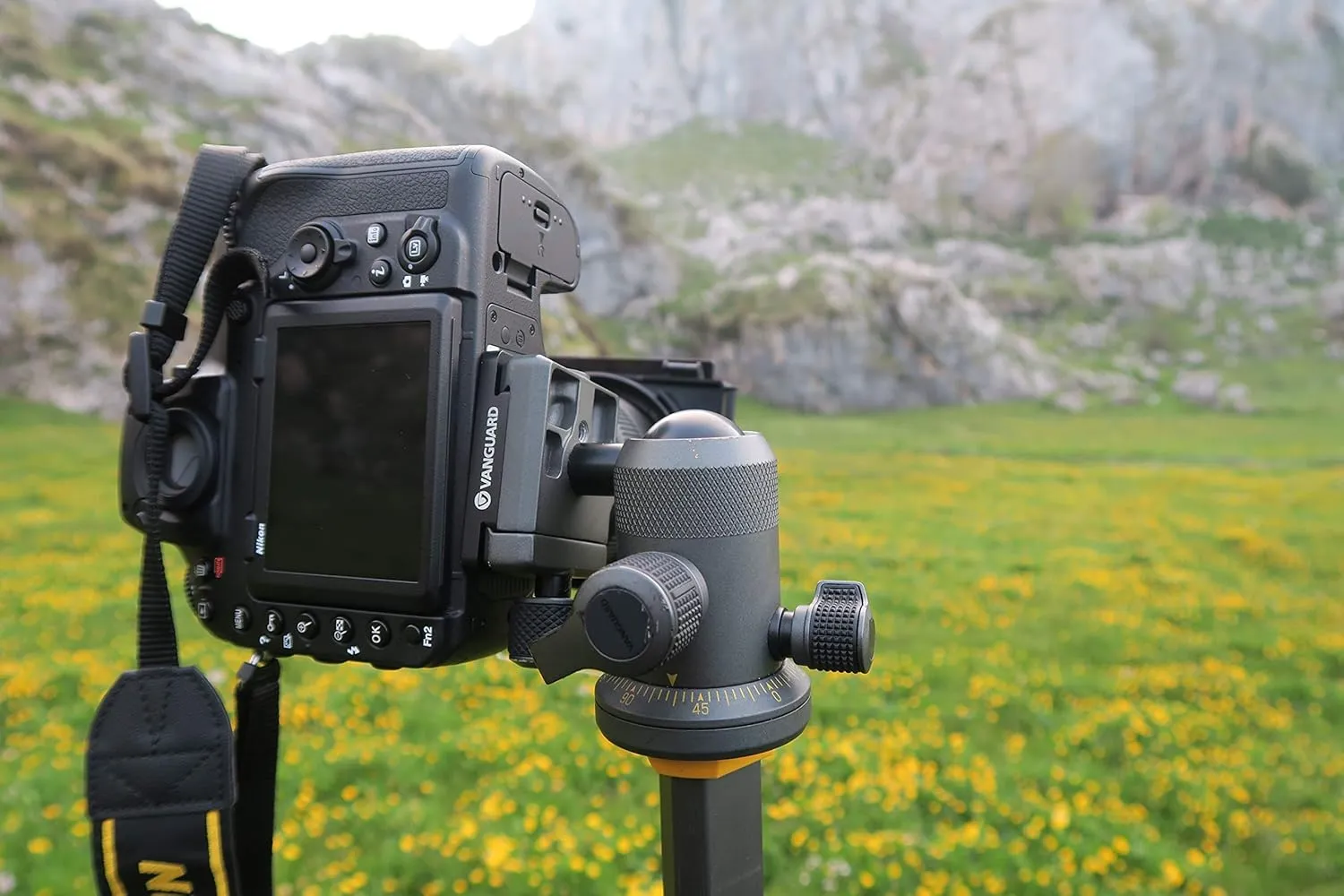 Vanguard Alta BH-250 Ball Head