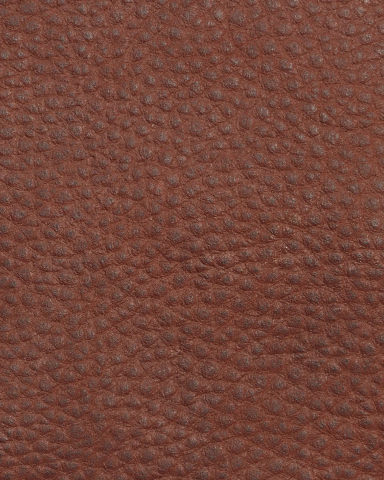 Wall Street Slim Laptop Bag- Cognac Brown