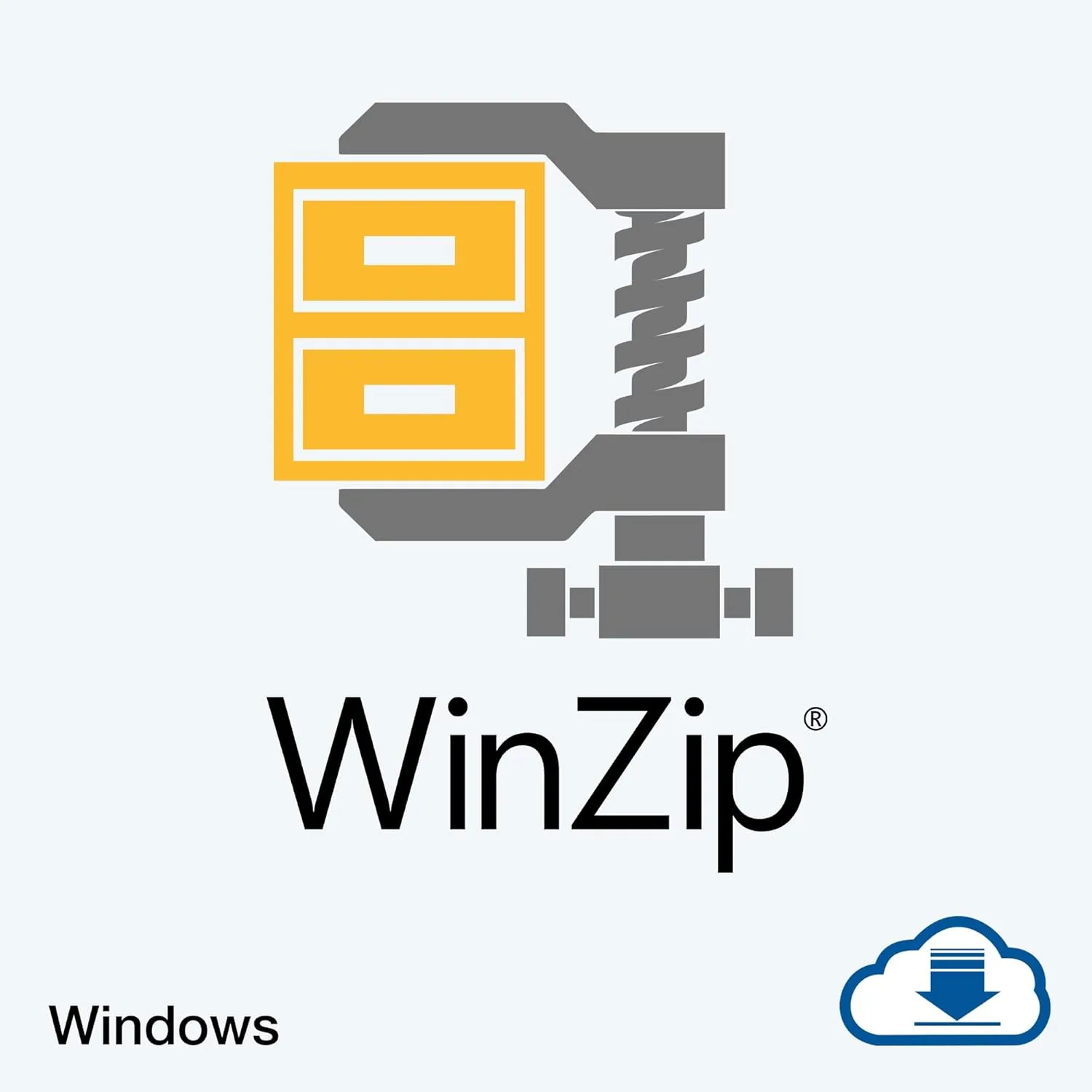 WinZip 29 | File Management, Encryption & Compression Software [PC Download]