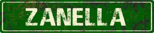 ZANELLA 4"x18" Green Grunge Style Rustic Vintage Look Novelty Aluminum Street Sign