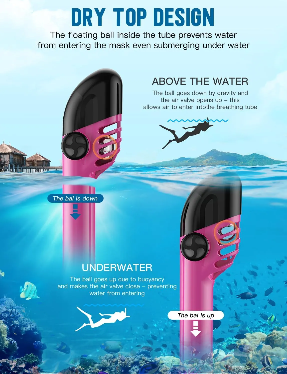 Zenoplige Full Face Snorkel Mask Adults,Dry-Top Snorkeling Gear with Camera Mount,Foldable 180-Degree Panoramic Scuba Mask for Snorkeling Diving Swimming Travel,Snorkel Mask Anti-Fog & Anti-Leak